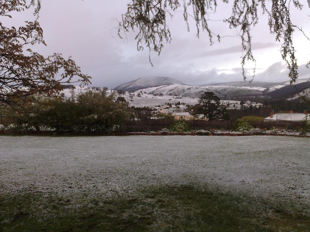 Omeo Motel Bagian luar foto