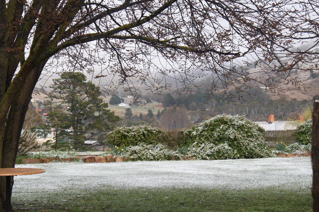 Omeo Motel Bagian luar foto